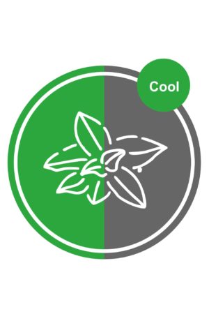Eucalyptus & Mint