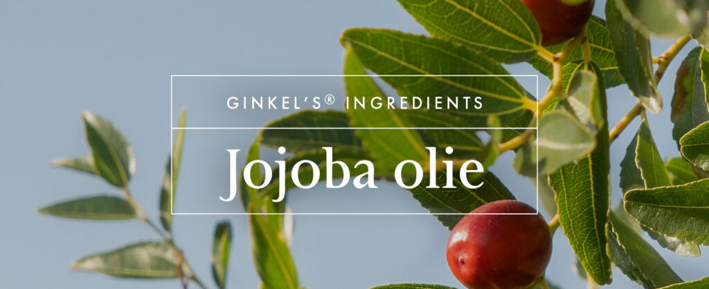 Banner Jojoba 1024x418 - Banner-Jojoba -